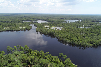 Aerial view of the Perdido River and surrounding wetlands.