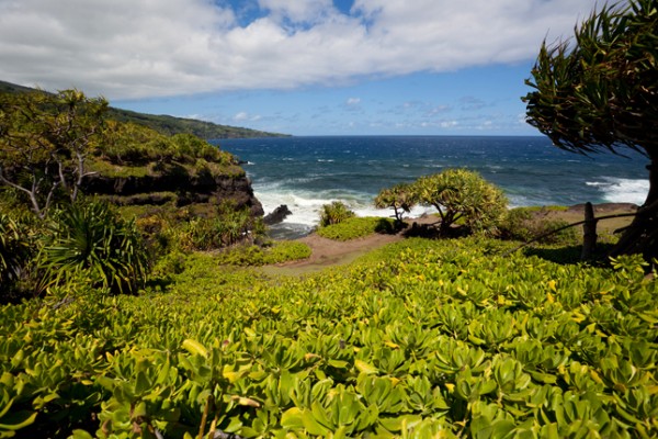 Shores Of Haleakala National Park Photo Peter Kemmer/Flickr  The property added to the park included nearly one mile of frontage on the Pacific Ocean, closing a gap in the park's boundary