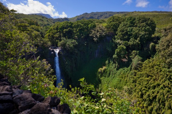 Haleakala: Waterfalls And Forests Photo by Peter Kemmer/Flickr  Haleakala National Park is full of beautiful vistas and one-of-a-kind experiences. Helping the national park acquire privately held land within its boundaries ensures the integrity of the park's ecosystems and makes for a better experience for visitors.
