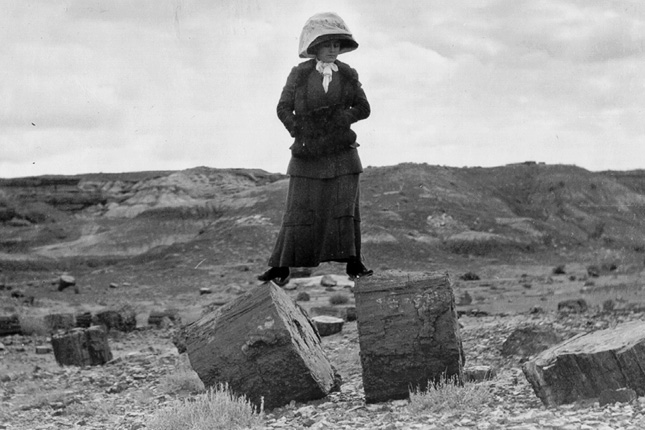 Petrified Forest National Park History Photo courtesy National Park Service  Although the Petrified Forest National Park wasn't officially established until 1962, the region has been a popular destination for visitors for more than a century. In order to protect its treasures from vandalism and theft, Teddy Roosevelt established Petrified Forest National Monument, one of America’s first national monuments, in 1906. This image is dated to 1911.