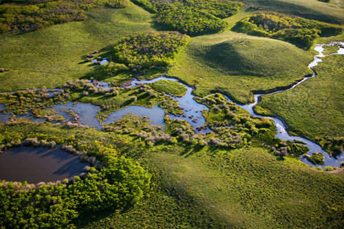 Rocky Mountain Front: Wetland Habitat Photo by Todd Kaplan  In addition to the wide open plains that characterize the Front, wetlands are an essential part of the ecosystem, supporting a variety of birds and other wildlife. The recent demand for recreational property and vacation homes threatens the Front's ecosystems and the wildlife that migrate across the plains.