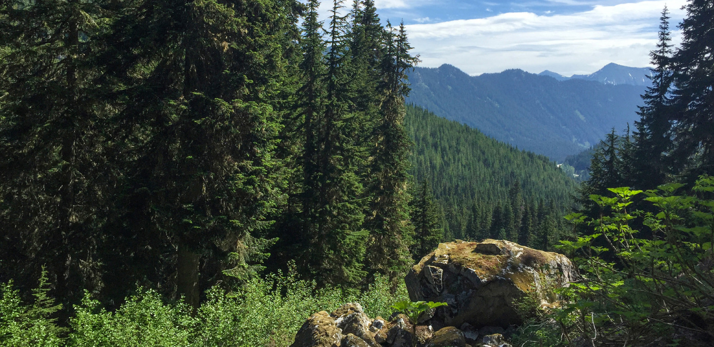 A large rock and tall, green trees with blue mountains in the background depicting the Pacific Crest Trail.