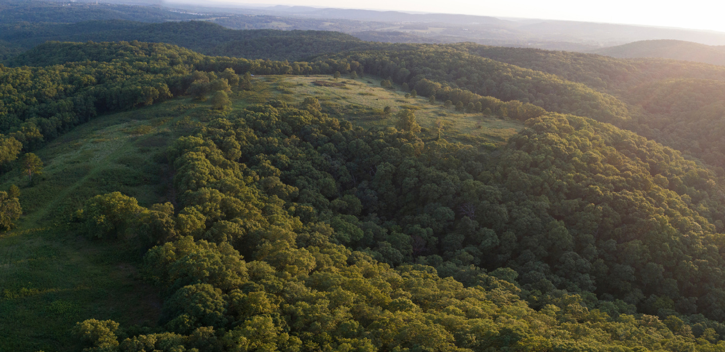An aerial view of the Mark Twain National Forest with the sun shining in the background.