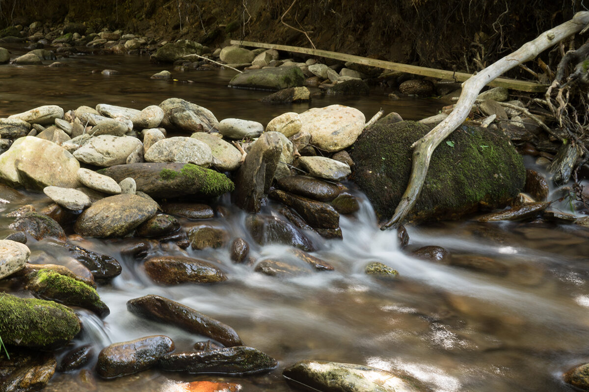 Conservation of Western North Carolina Watershed Triples