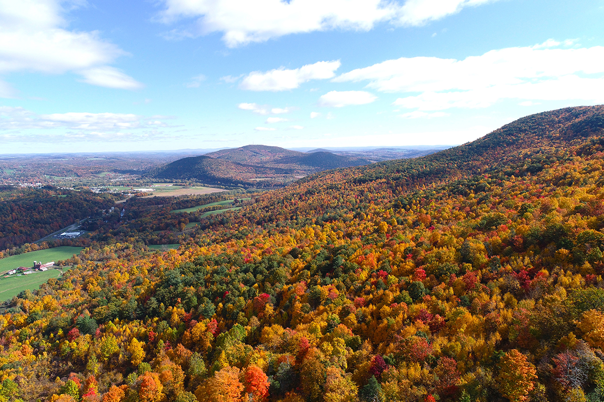 Newly protected Miller Mountain in Wyoming County, Pennsylvania showing its fall foliage.