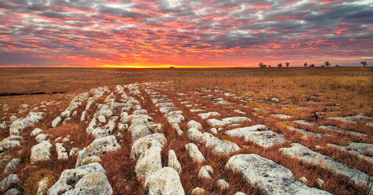 Protecting and Restoring Native Tallgrass Prairie in Kansas