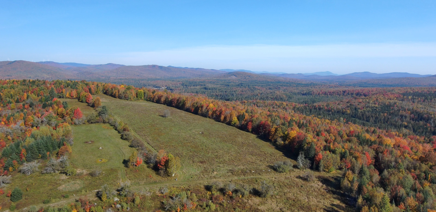 An aerial image of fall foliage scattered throughout green grasses at the Glover Farm in New Hampshire.