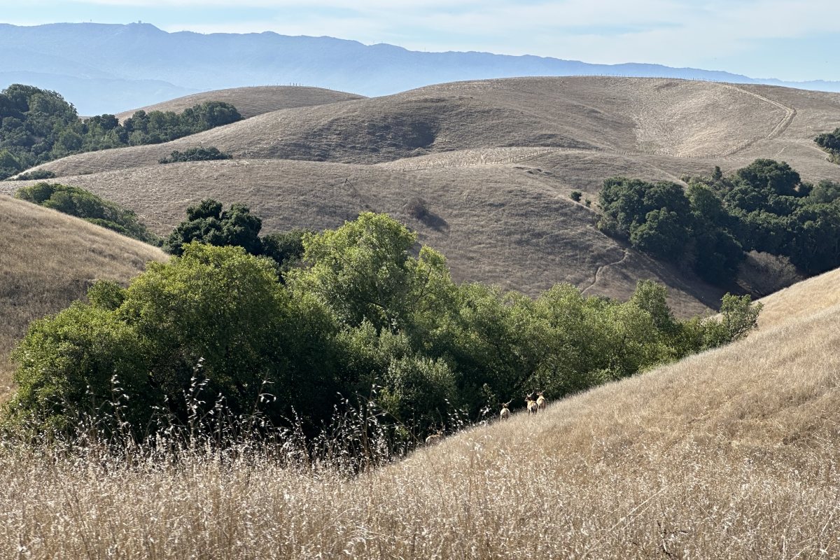 The Conservation Fund's Richmond Ranch property of 3,654-acres in San Jose, California.