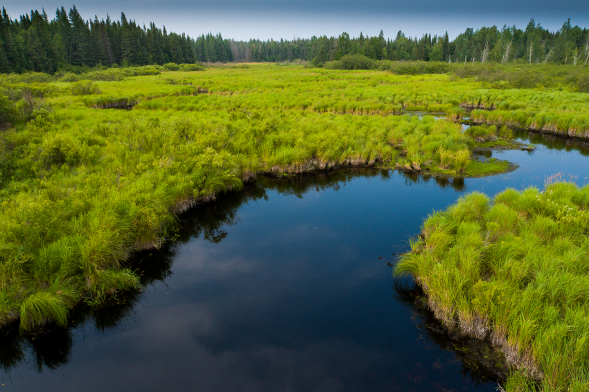 A winding river at Pelican River Forest in Wisconsin