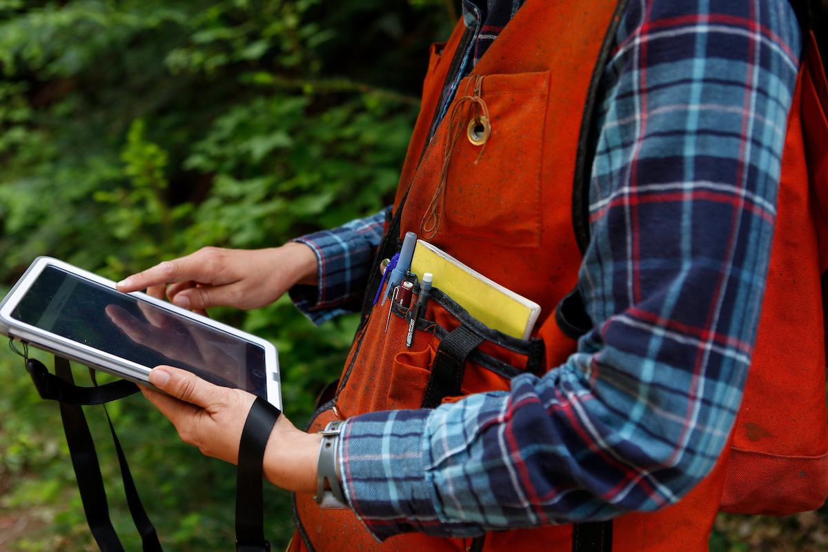Man in red vest holding iPad in a forest