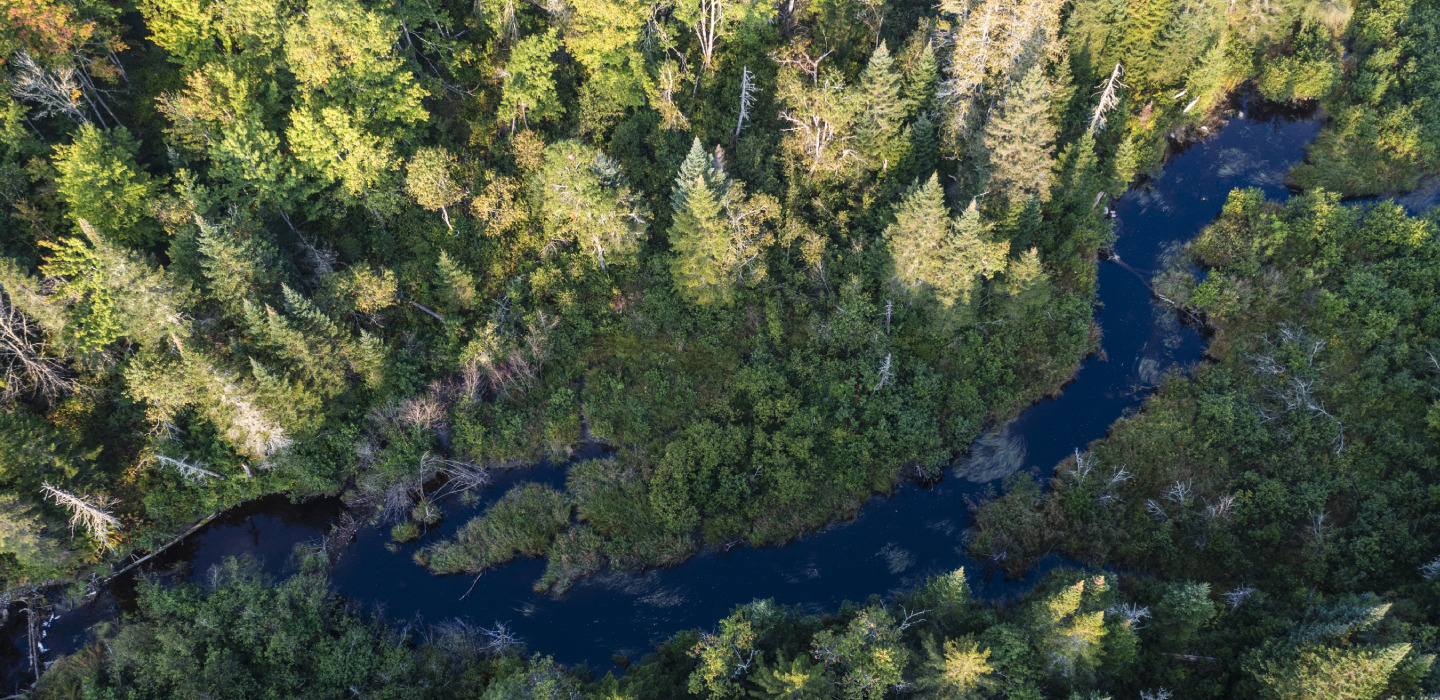Aerial view of a winding river surrounded by lush green forest, showcasing the natural landscape from above.