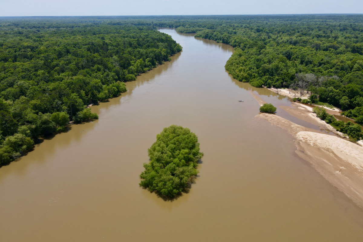 Beards Creek winds its way around a small patch of trees with more lush, green trees on both sides of the creek