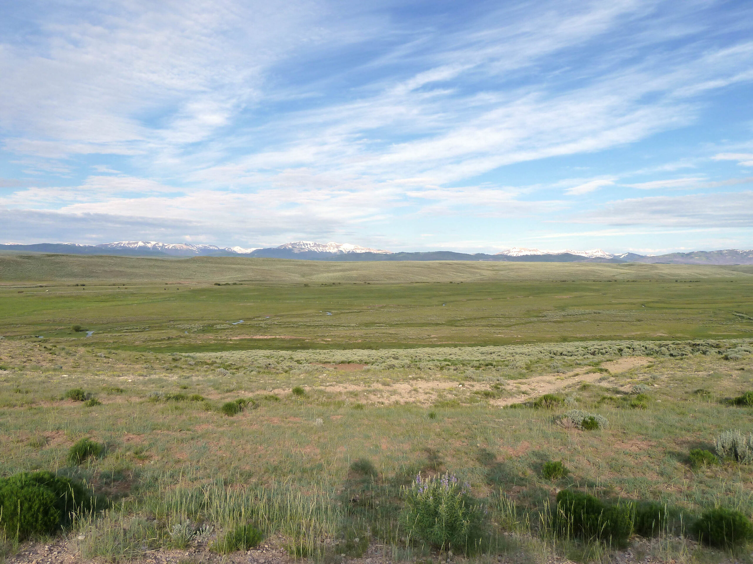 A ranch in Wyoming with green grasses in the foreground and rolling hills in the background on a cloudy day