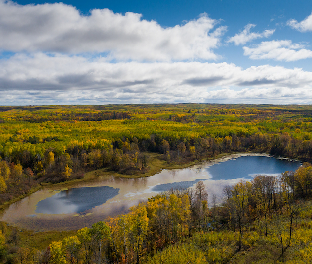 Pond in a forest with fall trees