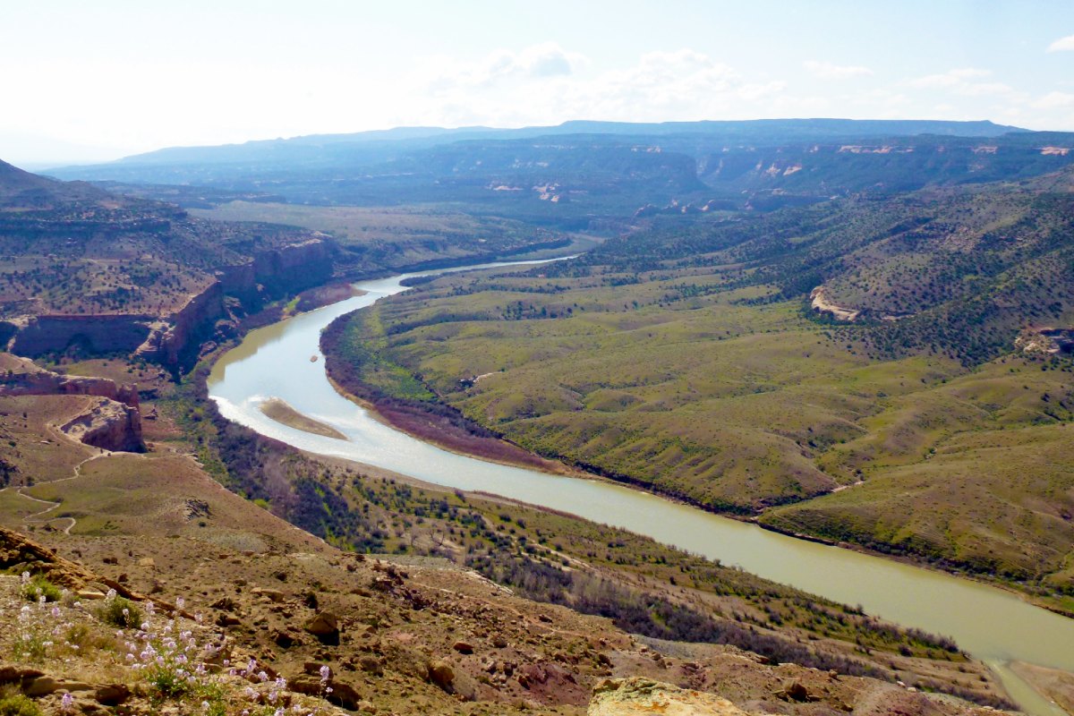 A thin river flows through green, mountainous landscape at McInnis Canyons National Conservation Area