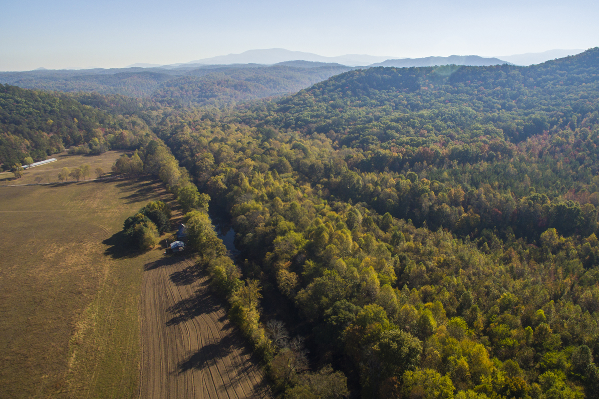 An aerial photograph of Tennessee's Cherokee National Forest with trees scattered across the mountains