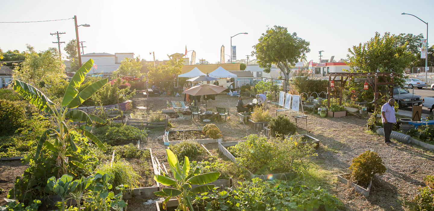 A picturesque garden adorned with diverse plants and trees, highlighting the beauty of nature in a tranquil setting.