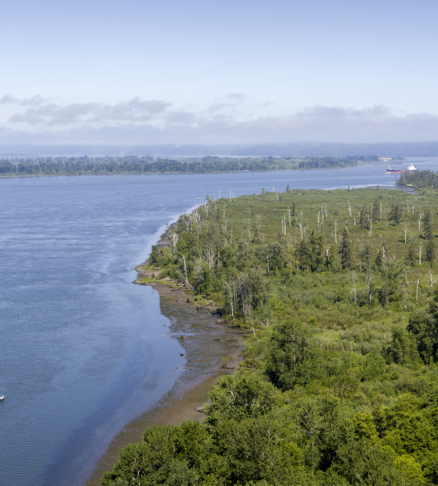 A boat in the distance navigates the serene waters of Deep River Woods, framed by dense trees and natural beauty.