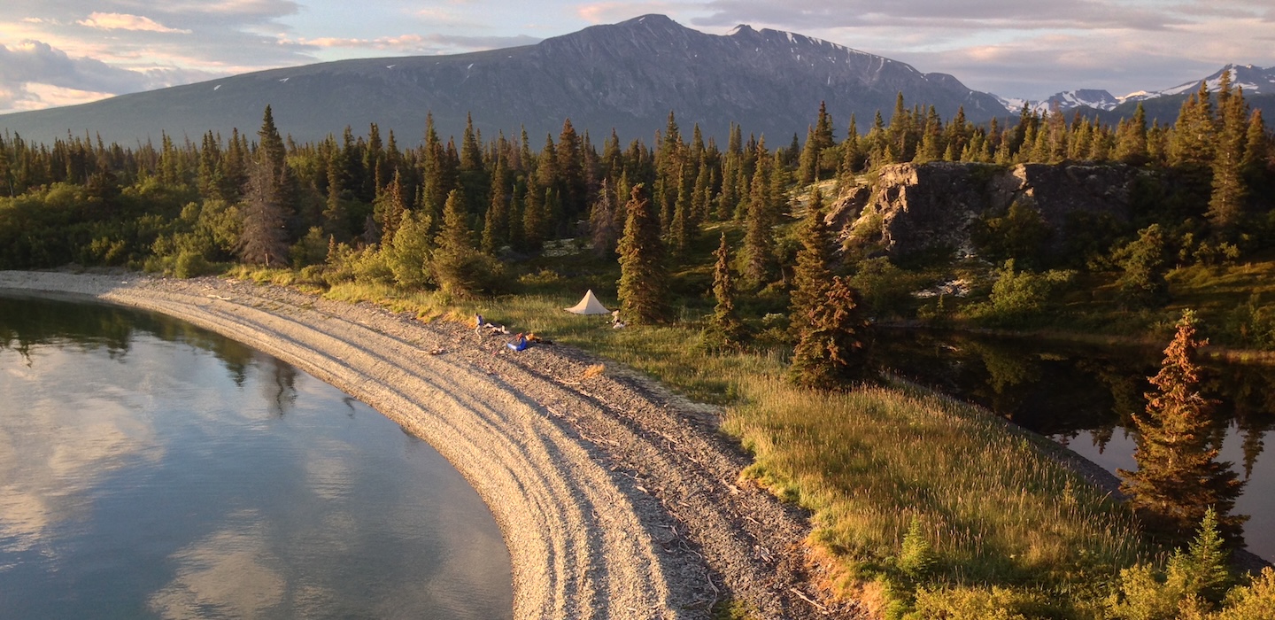 Lake Iliamna shoreland with dark green trees and a mountain in the background