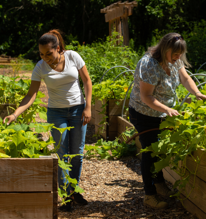 Two women working in a garden, focused on nurturing the plants around them.
