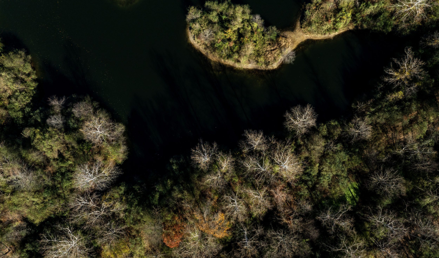 Birdseye view of a river and forest