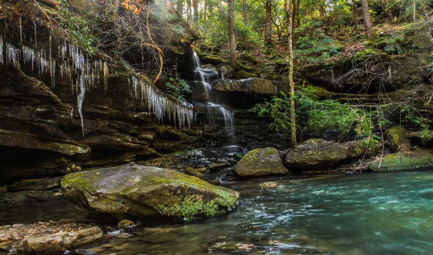 Serene view from Sipsey Wilderness area in Alabama.