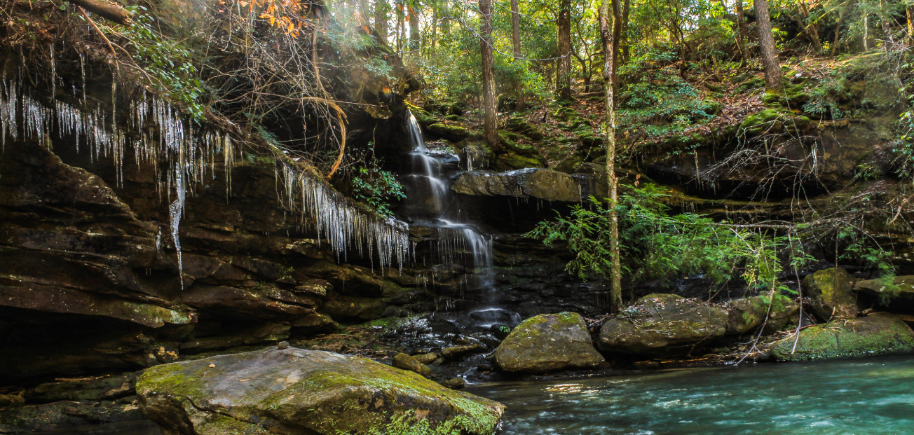 Serene view from Sipsey Wilderness area in Alabama.