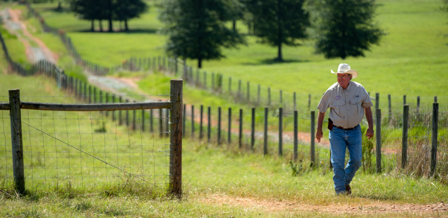 A man wearing a cowboy hat walks through a grassy field.