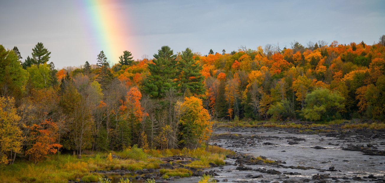 A vibrant rainbow arcs across the sky above the Mississippi River Headwaters, creating a picturesque natural scene.