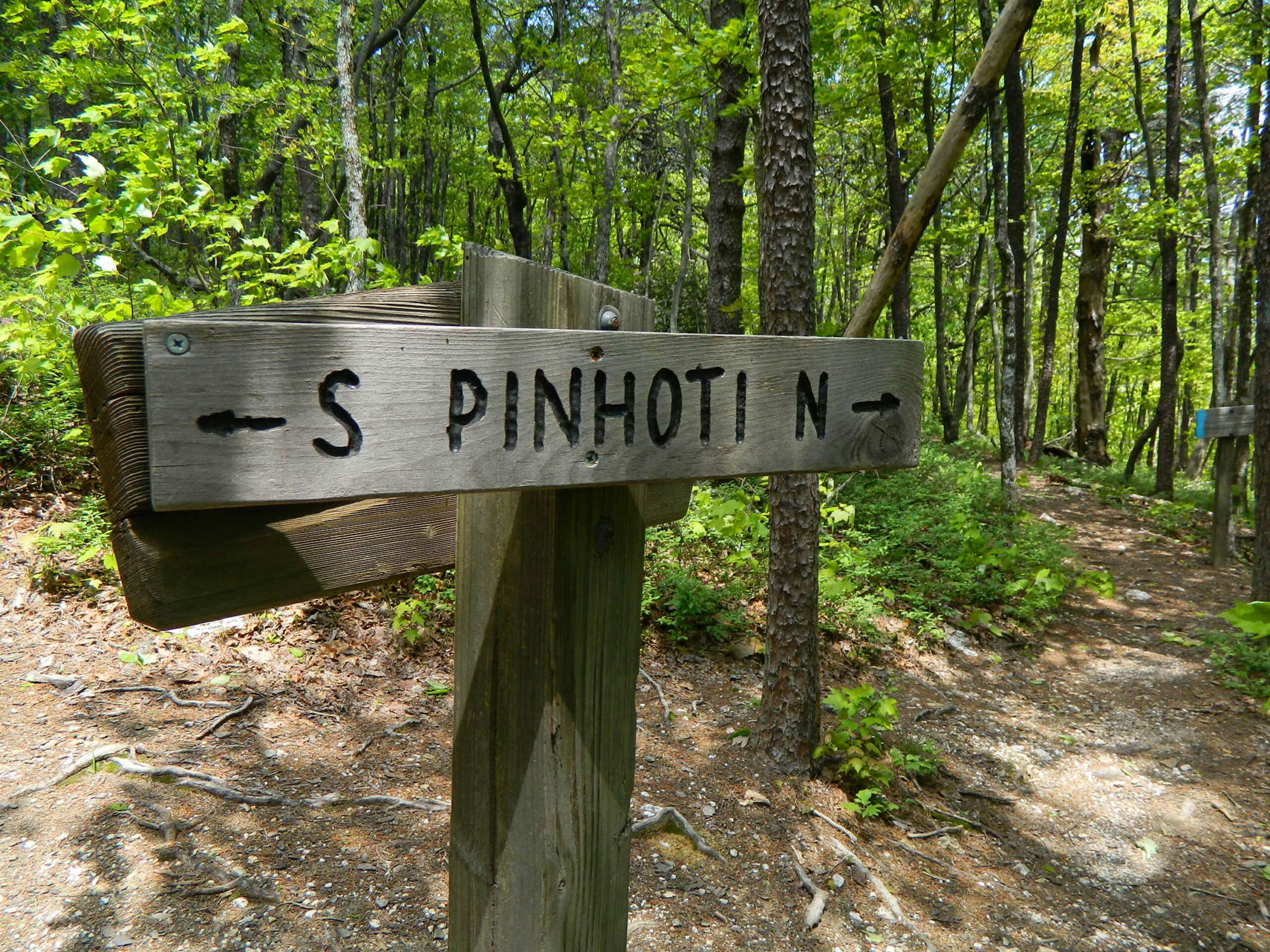 A Pinhoti Trail sign stands among the trees at Talladega National Forest.