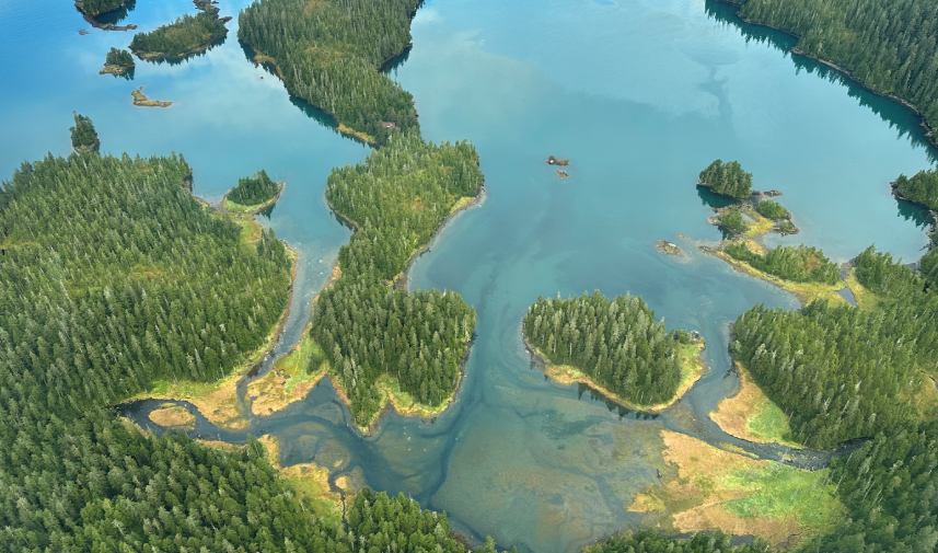 Aerial view of Herring Pete's Cove on Nuka Island, featuring a tranquil lake surrounded by rocks and lush trees.