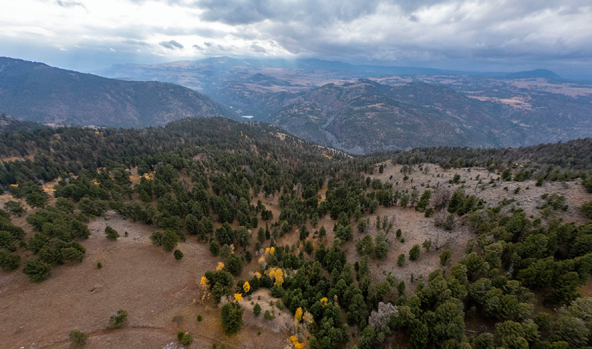 Drone image capturing Crevice Mountain and lush forests, highlighting vital wildlife habitat near Yellowstone National Park.