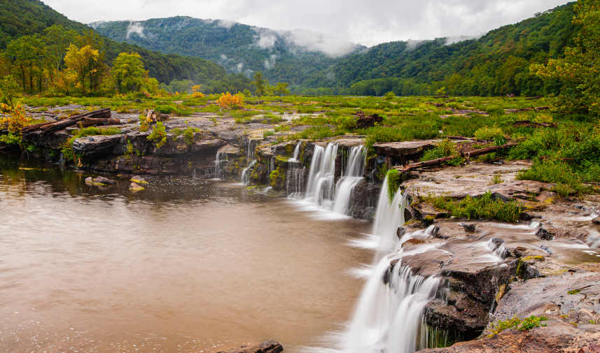 A serene river flows through a lush forest in New River Gorge National Park, showcasing the area's natural beauty.