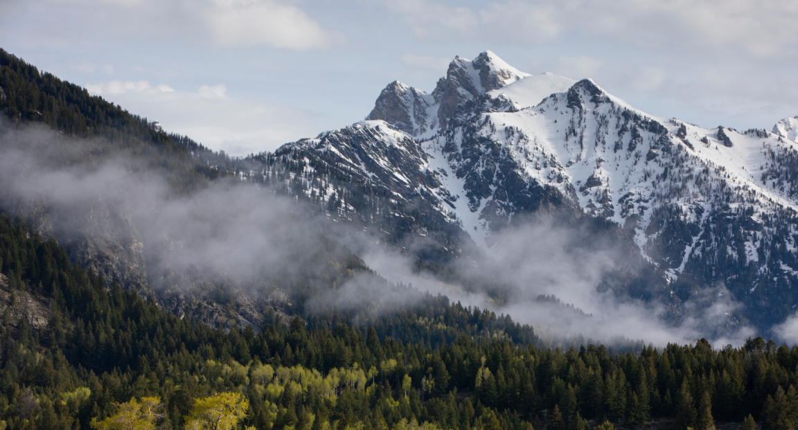 Snow-capped peaks of the Grand Teton mountain range in Grand Teton National Park, Wyoming, surrounded by lush green trees.