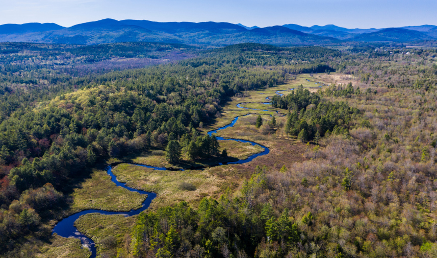 A picturesque river winds through a vibrant forest, representing the protected landscape of Chadbourne Forest in Bethel, Maine.